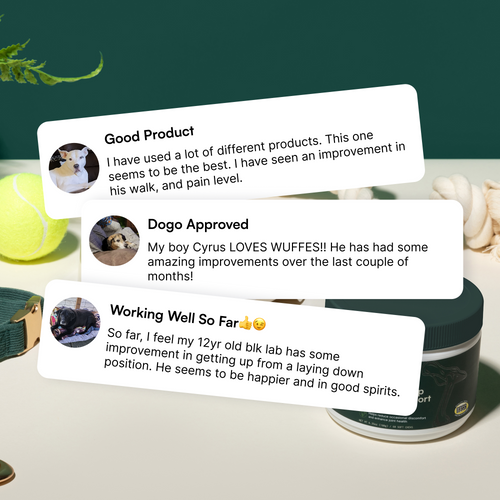 Advanced Hip & Joint Support