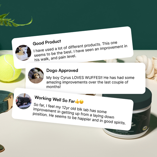 Advanced Hip & Joint Support