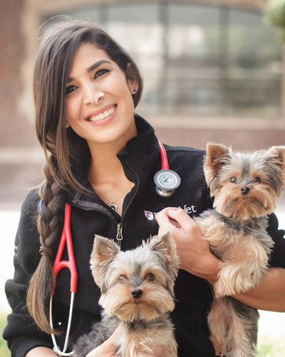 Customer testimonial video