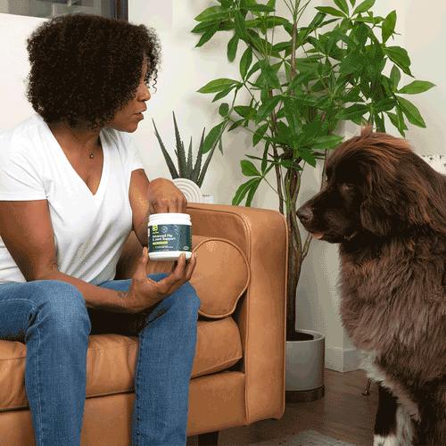 Advanced Hip & Joint Support